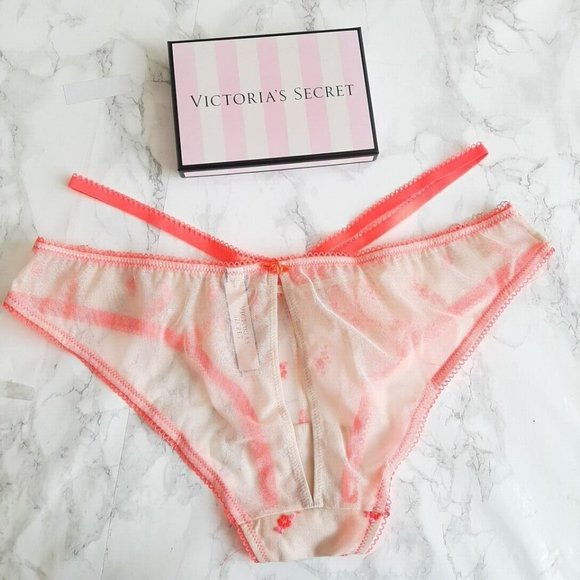 Nwt Victorias Secret Dream Angels Heart Embroidery Keyhole Cheekini Panty - Picture 6 of 9